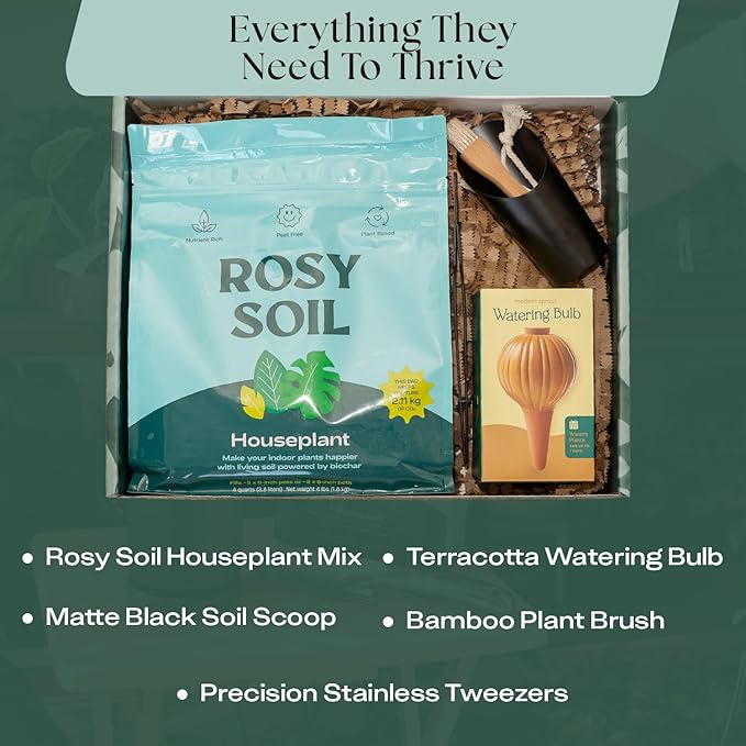 Rosy Soil Indoor Plant Parent Gift Set for Mother's Day - Houseplant Potting Soil with Modern Sprout Terracotta Watering Bulb, Soil Scoop, Plant Brush & Tweezers