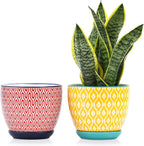 Selamica Ceramica Plant Pots, 6.5 Inch Flower Pots Set of 2 with Drainage Holes & Saucer, Planters for Indoor Plants, Home Decor, Assorted Colors