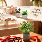 Artificial Potted Plants Faux Greenery in Cement Pots for Shelf, Bookshelf, Office or Home Decor, Small Decorative Fake Plants for Modern Indoor Display (9, XXXL)