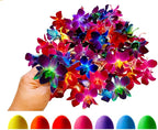 Miami Fresh Orchid Flower OrchidClub USA Sunne Tropical Loose Bloom Head DIY Lei food drink decoration (RAINBOW 50)
