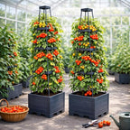 2 Pack Raised Garden Bed Tomato Planter Box with Trellis, 57" Self-Watering Tomato Cage Planters Box for Climbing Plants Vegetable Vine Flowers,Patio Garden Balcony Outdoor & Indoor (2 Pack)