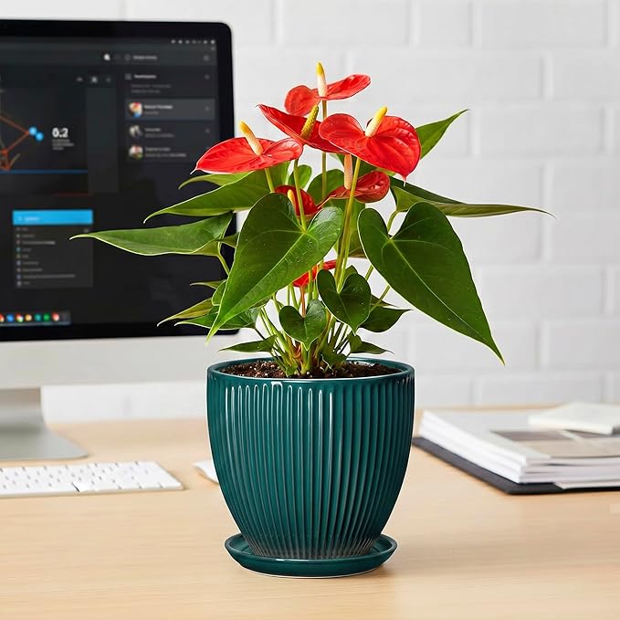Ceramic Flower Pots, 6 Inch Planters with Drainage Hole and Saucer, Decorative Round Plant Pots for Indoor Plants, Modern Succulent Pot, Office Bedroom Decor, Plant Lover Gifts, Blackish Green