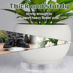 SupKing 6 Pack Plant Saucers Drip Tray,6 8 10 12 14 Inch Heavy Sturdy Plastic Flower Pot Saucers for Indoor,Clear Plastic Planter Water Tray for Plant Pots Liners (6''-Clear)