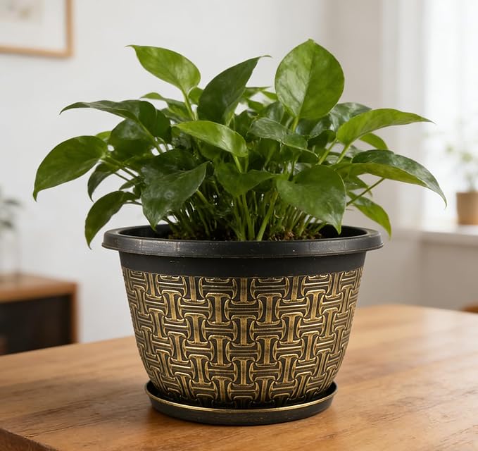 Nooulap 8 Inch Plant Pots, 4 Pack Flower Pot Outdoor with Drainage Holes & Trays, Retro Antique Imitation Decorative Garden Plastic Planters Pots for Plants Indoor Sets for Houseplants