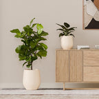 21" H x 19" D Premium Corso Fiberstone Round Tapered Planter with Drainage Hole, Weather Resistant for Indoor & Outdoor Use, Included 2 Extra Coco Mats (Kilim Beige, 15" Pot Opening)