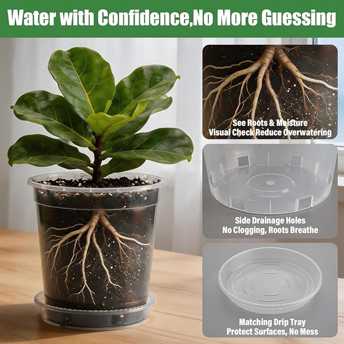 BTPLASTIK 3 Gallon Clear Nursery Pots with Saucers 5P, 10 Inch Round Plastic Plant Pots with Drainage Holes