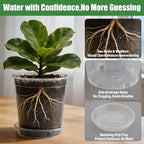 BTPLASTIK 3 Gallon Clear Nursery Pots with Saucers 5P, 10 Inch Round Plastic Plant Pots with Drainage Holes