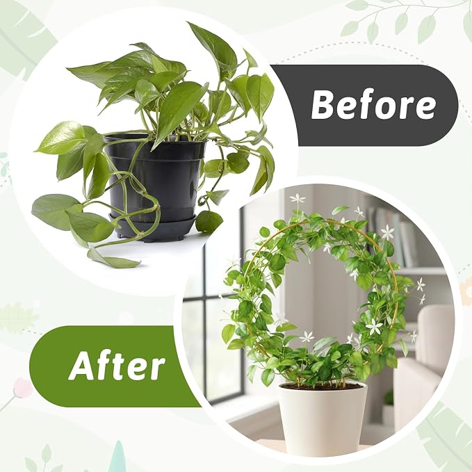 2 Pack Circle Trellis for Climbing Plants Indoor, Small Metal Garden Plant Support Stakes for Decorative Potted Plants Pothos Hoya Trelli Vines Indoor Outdoor (Gold)