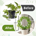 2 Pack Circle Trellis for Climbing Plants Indoor, Small Metal Garden Plant Support Stakes for Decorative Potted Plants Pothos Hoya Trelli Vines Indoor Outdoor (Gold)