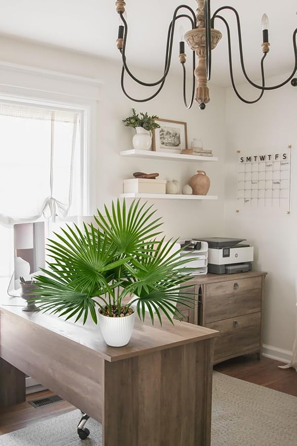GnFlus Artificial Palm Plant 15 Inch Fake Tropical Potted Plants Faux Palm Leaves in Pot for Home Indoor Tabletop Centerpieces Living Room Bedroom Decoration