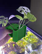 2 Pk Upgraded Aquarium Plant Holder, 3-Hole Hanging Holder with Clip, Suitable for Fish Tank Decoration, Green