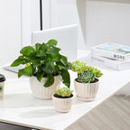 STHIE Ceramic Plant Pots with Drainage Holes and Saucers, Round Flower Pots for Indoor Plant, Diameter 3.3/4.3/5.5 Inches Small Flower Planters Set of 3