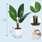 Garvee Set of 2 Realistic Artificial Fiddle Leaf Fig Trees – Decorative Faux Greenery for Home or Office – White Marble Pots – Mini Traveler's Banana – 50cm – Two