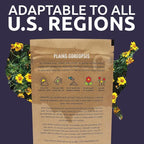 Plains Coreopsis Seeds – Native Flowers – Bulk Quarter Pound Bag – Over 400,000 Open Pollinated Non-GMO Wildflower Seeds – Coreopsis tinctorial
