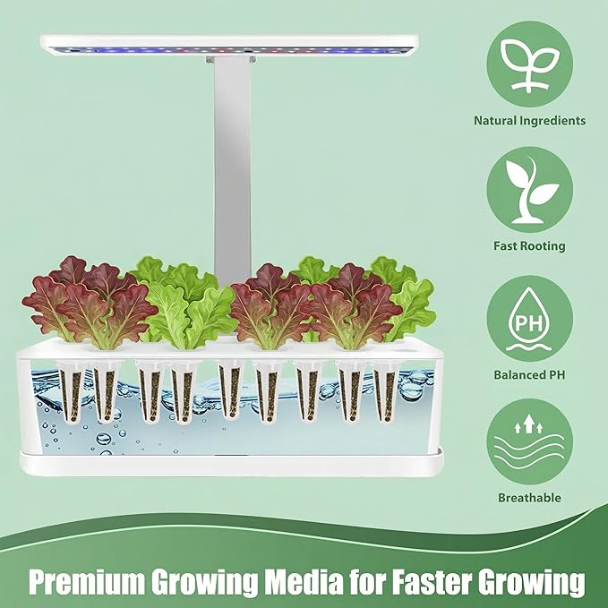 Lettuce Seed Pods Kit for Hydroponic, 12 Pods Red&Green Leaf Lettuce Grow Anything Kit for Indoor Hydroponics Growing System, Hydroponics Supplies with 12 Grow Sponges, 12 Plant Baskets