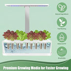 Mixed Greens Seed Pods Kit for Hydroponic, 12 Pods Grow Anything Hydroponics Kit for Indoor Garden, Hydroponics Supplies with 12 Grow Sponges, 12 Plant Baskets, Lettuce Seeds - 12 POD