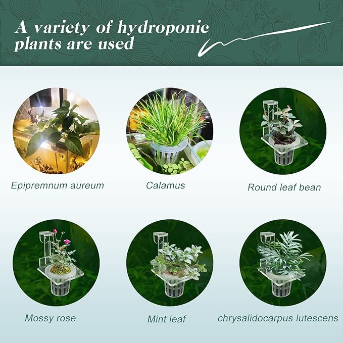 Upgrade Acrylic Aquarium Plant Holder Hanging Aquatic Plant Holder,Adjustable Hook Fish Tank Pot for Hanging Cultivation and Aquarium Decor