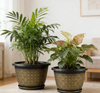 Nooulap 10 Inch 4 Pack Flower Pots for Outdoor, Plant Pots Outdoor with Drainage Holes and Trays, Retro Antique Imitation Plastic Garden Pots for Planter Indoor (Gold)