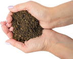 Premium Natural Sphagnum Peat Moss - Gardening Soil Amendment and Carnivorous Plant Soil Media by Gardenera (3 Quart Bag)