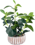 Artificial Potted Plants Life-Like Fake Plant with Farmhouse-Style Cement Planter Feturing Light Wood Tone for Room Bathroom Bedroom Kitchen Office Dese Coffee Table Décor (12.8inch)