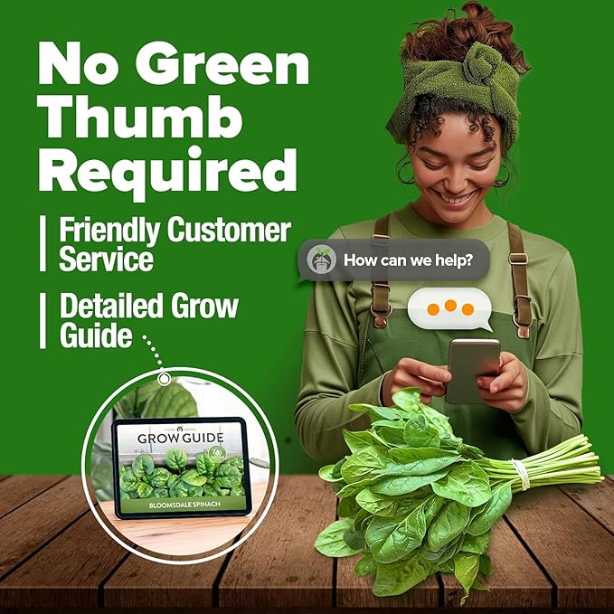HOME GROWN Bloomsdale Spinach Seeds 704+ Heirloom Non-GMO Seeds for Planting, High Germination, Cold Hardy Dark Green Savoy Leaf, Nutritious Superfood, Indoor Outdoor Garden (Spinacia oleracea)