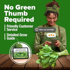 HOME GROWN Bloomsdale Spinach Seeds 353+ Non GMO Heirloom Seeds for Planting, High Germination, Cold Tolerant, Dark Green Crinkled Leaves, Fast Growing, Hydroponic & Garden (Spinacia oleracea)