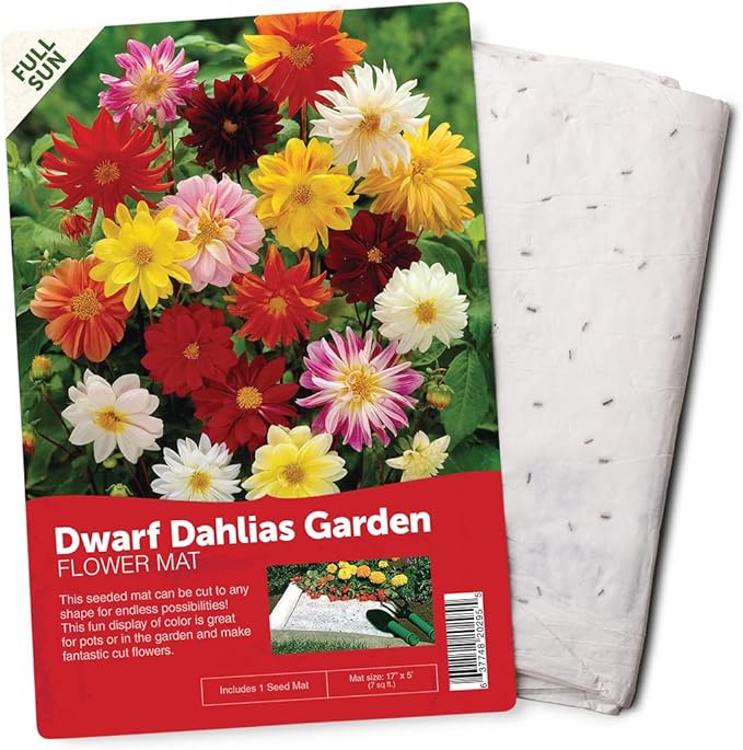 BloomingBulb Seed Mat - Easy to Plant and Grow Garden Seeds - Creates Fragrant, Vibrant Flower Garden – Customizable Flower Beds- Dwarf Dahlia Flower Mat