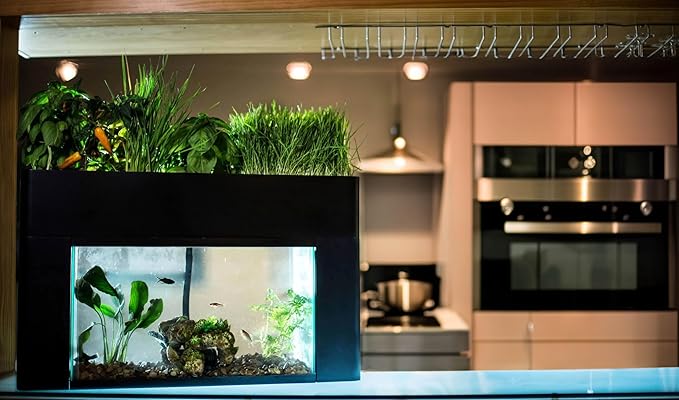 AquaSprouts Aquaponics Garden, Self-Sustaining Desktop Aquarium Hydroponics Ecosystem Kit, fits Standard 10 Gallon Aquariums