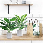2pcs 16" Fake Plants Artificial Plants Tropical Faux Plants Indoor for Bathroom Kitchen Office Home Sage Green Decor
