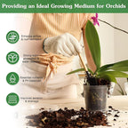 Orchid Potting Mix,4 Quart Premium Orchid Potting Mix for Repotting with Dried Forest Moss Perlite Stone Coco Peat and Pine Bark, Well-draining Orchid Bark Potting Mix