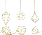 Gold Hanging Air Plants Holders Small Tillandsia Airplants Hangers 6 Pack Geometric Wire Himmeli Air Fern Display Planter with Chains Airferns Metal Hanging Holders