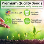 5 Herb Seeds Variety Kit, Oregano, Cilantro, Parsley, Basil, Chives