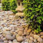 YISZM 20lbs Natural River Rocks, 2"-3" Premium Pebbles for Garden and Landscape Design, Hand-Picked Smooth Stones for Fish Tank, Flower Pots, Indoor Water Fountains, Pathways, Backyard