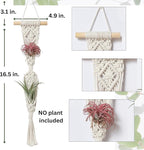 4 Pack Air Plants Holders, Wall Planters for Indoor Plants | Macrame Plant Hanger, Air Plant Hanger for Air Fern, Tillandsias, Live Houseplants & Succulent (NO Plant Included)