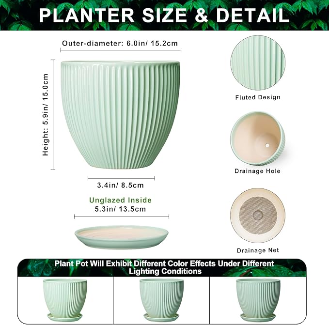Ceramic Pots for Indoor Plants, 6 Inch Plant Pot with Drainage Hole and Saucer, Round Modern Planters, Decorative Pots for Plants, Home Living Room Decor, Gifts for Plant Lovers, Mint Green