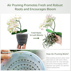 6 inch Orchid Pots with Holes for Repotting with Excellent Airflow, Set of 1, Double Layer Plastic Imitate Ceramic Orchid Planter, Clear Orchid Pot Match Decorative Orchid Container