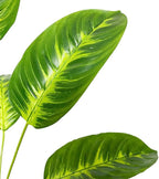 Artificial Plants in Pots Large Fake Tree Floor Faux Tropical Plants Decorative Greenry House Potted Tall for Home Office Living Room Decor Indoor Garden Outdoor (80cm Tropical Banana)