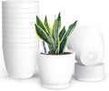 SwinDuck Plant Pots, 12 Pack 6 inch Modern Plastic Planters with Drainage Holes and Saucers for Indoor Outdoor Plants and Flowers, White