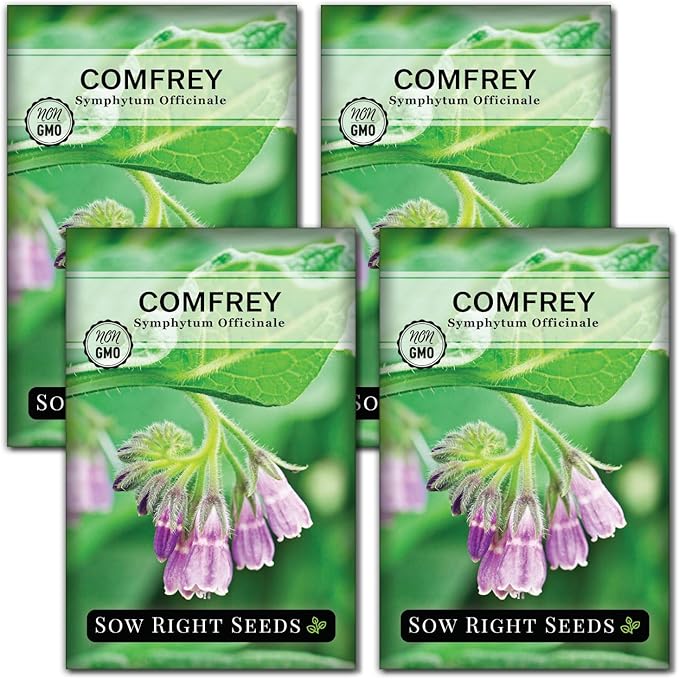 Sow Right Seeds - Comfrey Seeds for Planting - Non-GMO Heirloom Packet with Instructions to Plant an Outdoor or Indoor Herb Garden - Roots & Leaves for Home Remedies - Medicinal Salve, Oil, Tea (4)