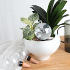 4 Pack Plant Watering Globes with Covers 17oz Self Watering Planter Insert, Plastic Water Bulbs, Indoor/Outdoor Plant Watering Devices for Automatic Drip Irrigation