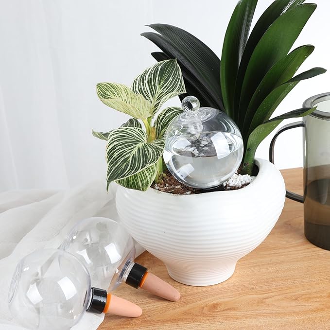 6 Pack Plant Watering Globes with Covers 17oz Self Watering Planter Insert, Plastic Water Bulbs, Indoor/Outdoor Plant Watering Devices for Automatic Drip Irrigation