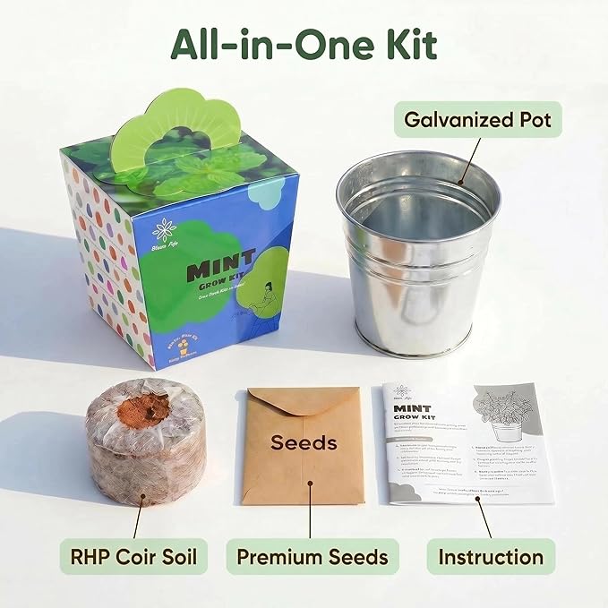 Mint Grow Kit, All-in-One Indoor Herb Garden Kit with Planter, Soil & Seeds, Easy DIY Planting Kit for Kitchen, Grow Your Own Fresh Mint for Tea & Drinks, Beginner Friendly Gardening Gift