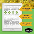 Mullein Seeds for Planting - Verbascum Thapsus Medicinal Biennial Herb with Tall Yellow Flowers - Heirloom Non-GMO Open Pollinated Pollinator Friendly - Survival Garden Seeds (2 Pack)