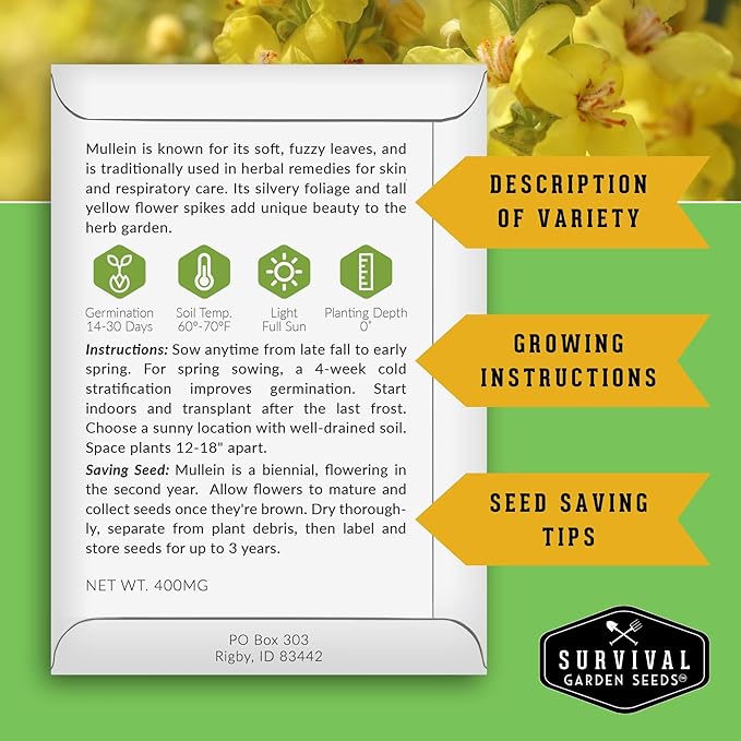 Mullein Seeds for Planting - Verbascum Thapsus Medicinal Biennial Herb with Tall Yellow Flowers - Heirloom Non-GMO Open Pollinated Pollinator Friendly - Survival Garden Seeds (3 Pack)