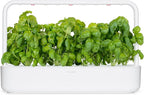 Click and Grow Smart Garden Basil Plant Pods, 3-Pack
