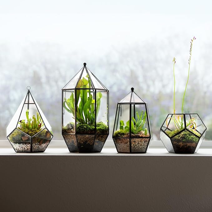 SuperMoss (90405) Glass Terrarium – Elegant Indoor Gardening Décor, Ideal Gifts for Plant Lovers, Modern Home & Office Decoration, 7.5” x 7.5” x 14”, Greenhouse