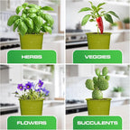 Plexon Herb Planter Indoor Garden Set of 3 with Tray, Metal Herb Pots for Indoor Plants, Round Kitchen Garden Kit Ideal for Windowsill Planter or Countertop, Green Powder Coated