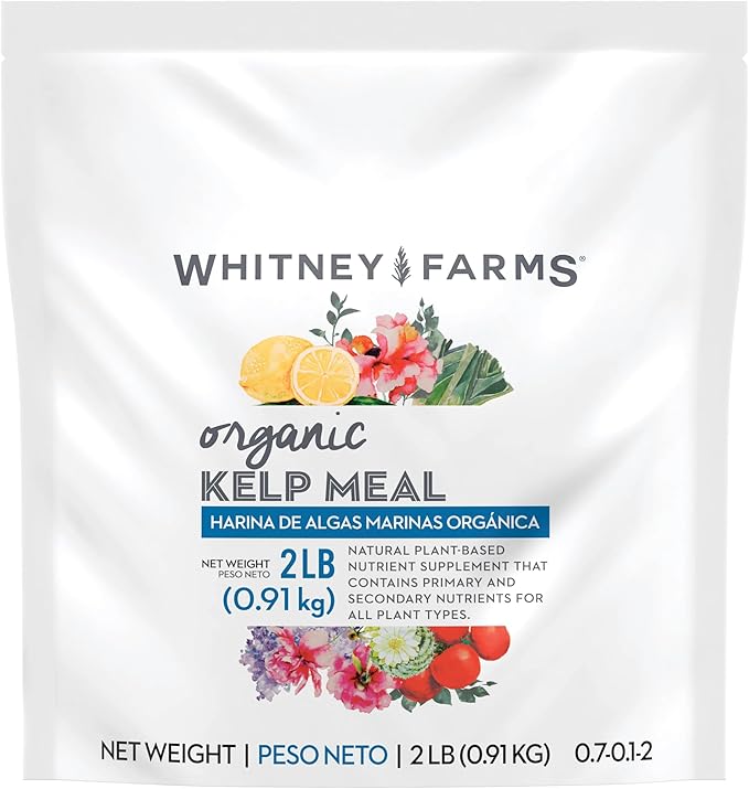 Whitney Farms Organic Kelp Meal 0.7-0.1-2 - Seaweed Fertilizer for Plants, Soil Conditioner for Vegetables, Flowers, Roses and Shrubs, 2 lb.