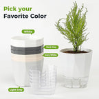 6 Pack Self Watering Pots for Indoor Plants, 5 Inches Self Watering Planters African Violet Self Watering Clear Pots for Plants Herb Orchid Flower Houseplant, Dark Grey