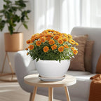 Ceramicfor Ceramic Planter - 9 Inch Plant Pot Indoor with Drainage Hole and Saucer for Outdoor Plants Mid-Century Round Planter Modern Flower Pot for House Garden White